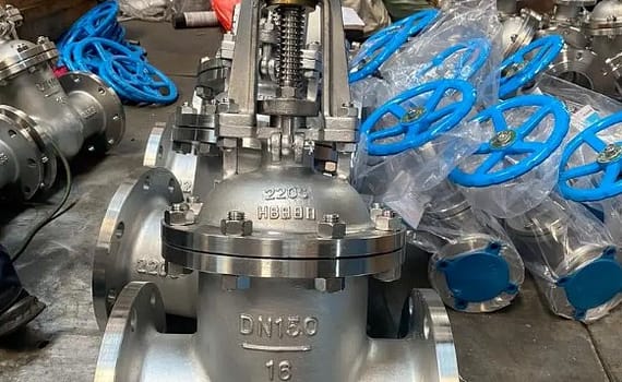 Gate Valve Inspection